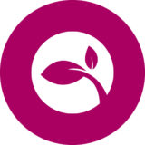 Renewable energy solution