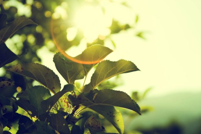 Save energy and money with a heat pump