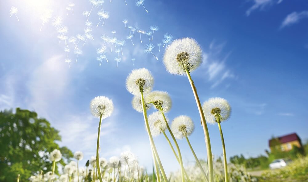 Renewable Heat Incentive